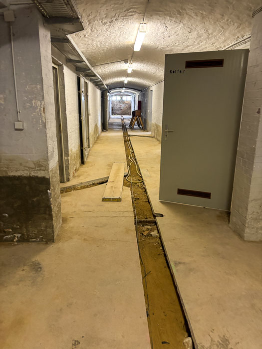 Dahlia Relaunch Okt-35